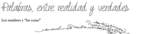 Palabras, entre realidad y verdades
